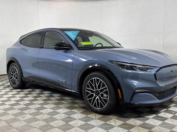 FORD MUSTANG MACH-E 2024 3FMTK3SU9RMA09679 image